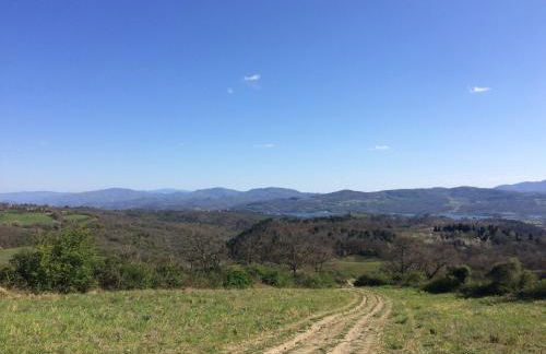 Agriturismo Corzano - Foto 33