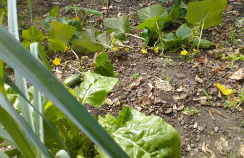 Maison Chez Marinette - Photo 46