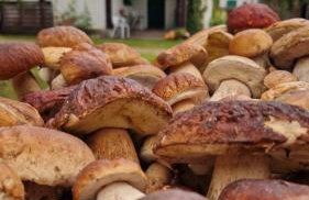 Kłodnia 1 - Foto 52