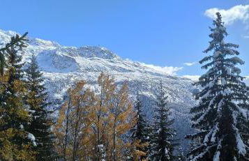 Chalet Le Refuge - Foto 43