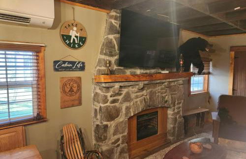 Pet Friendly Creekside Cabin Kooser St Park - Foto 35