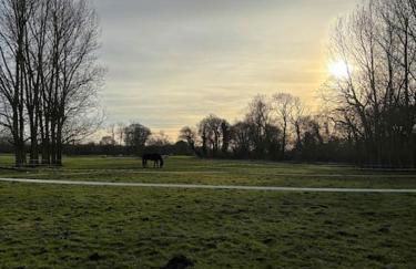 Maison entre campagne et mer - Foto 23
