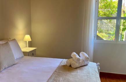 Domingos Reis - Foto 17