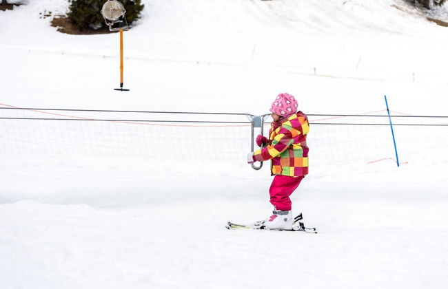 Chalet Podgorje With Pool - Foto 1