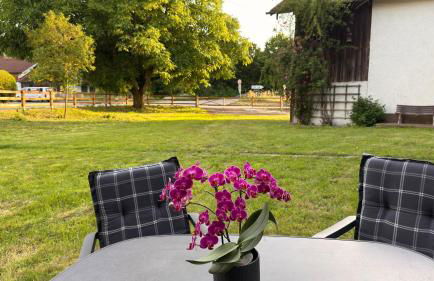 Feilchenhof - Foto 3