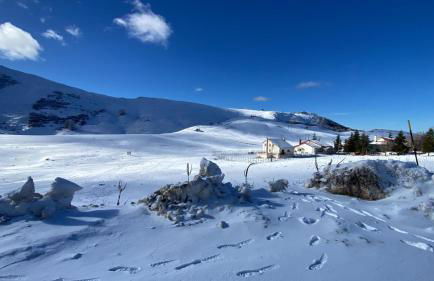 La casa nel bosco-Val Granara guesthouse - Foto 36
