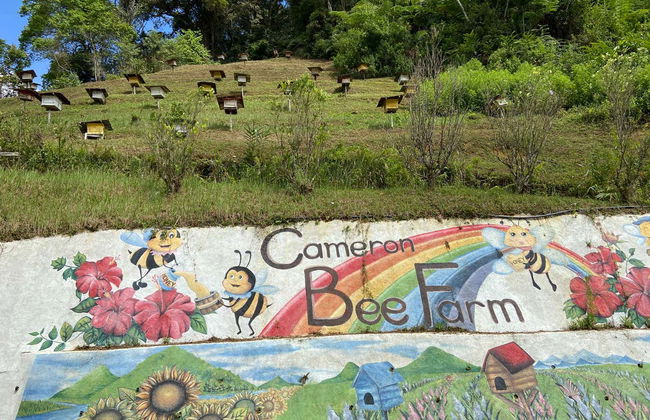 Excursion aux Cameron Highlands - Photo 6