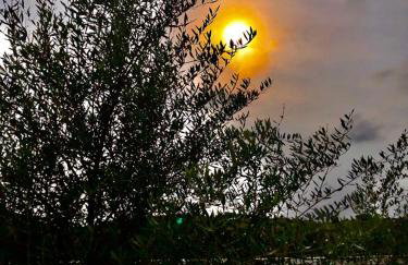 Casa Raio de Sol em Conservatória - Foto 23