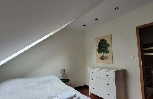 Willa Poziomka, Mielno, Grunwald - Foto 30