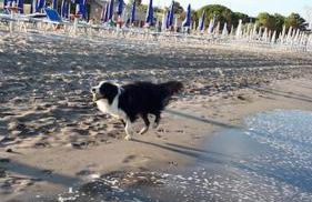 Villetta vicina alla spiaggia - Foto 46