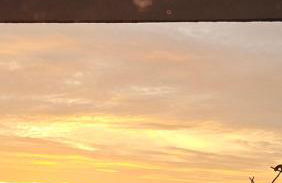 Ferienwohnung Bad Bergzabern - Foto 4