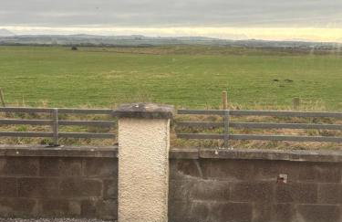 Cross Beck Cottage - Photo 39