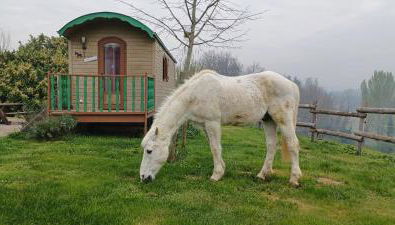 la Roulotte du Cos - Foto 3