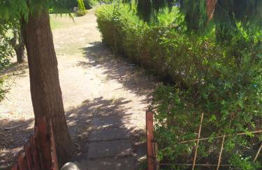 Casa da Fonte - Boa Aldeia - Foto 37
