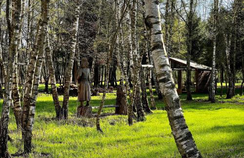 Kaszuby Camp - Foto 14