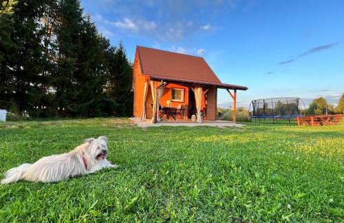 Święty spokój - Foto 13