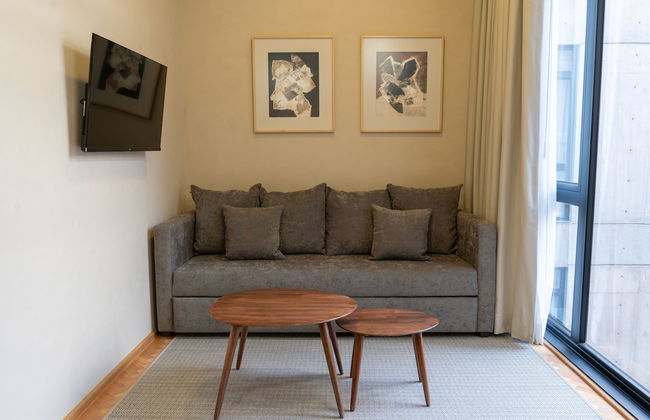 Ana Polanco Apartments - Foto 50