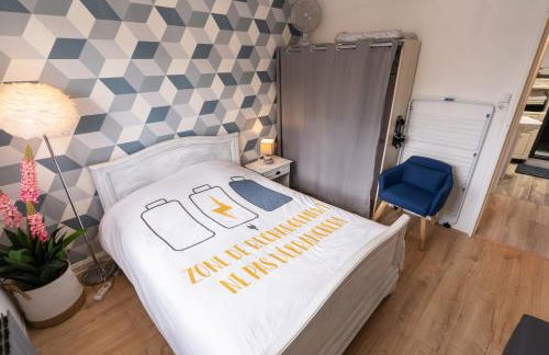 Charmant appartement Vosgien centre Saint Dié, proche montagnes - Foto 12