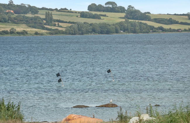 "Elain" - from the sea - Foto 4