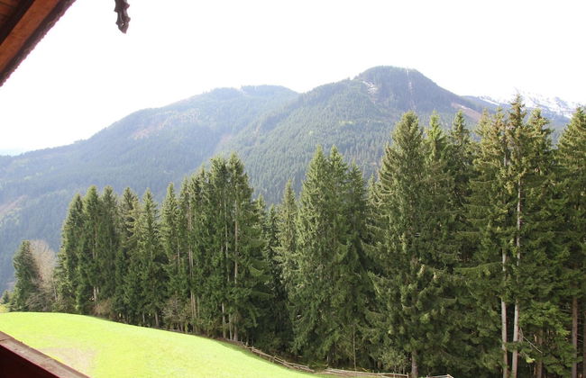 Apartment in Fugenberg Near Ski Slopes - Photo 26