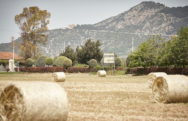 Agriturismo Porta Sirena - Foto 38