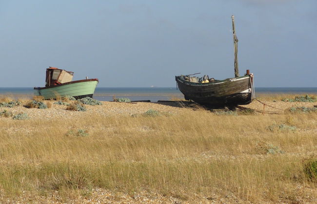 Lodge in Appledore Near Camber Sands Beach - Foto 33