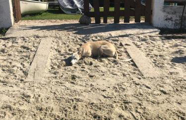 Pé na Areia Lake House - Foto 6