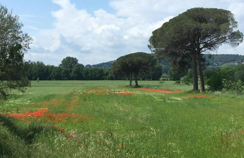 Le Coccole Del Trasimeno - Foto 78
