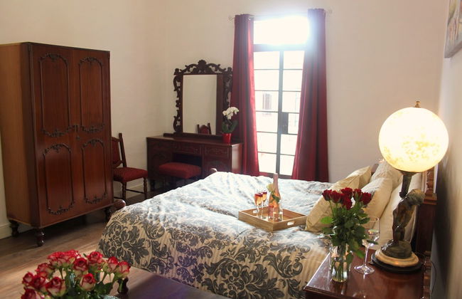 Maltese Maltese - Foto 19