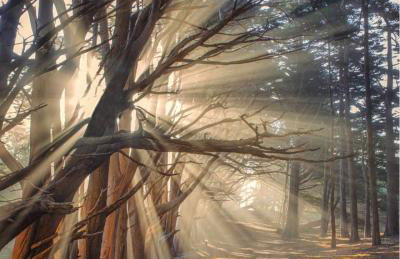 Private Home with Breathtaking Ocean Views - walk to Beaches Restaurants - Foto 23