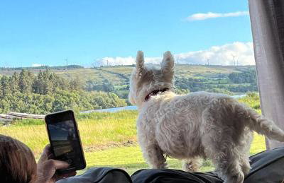 Dulrush Self-Catering Lodges - Foto 1