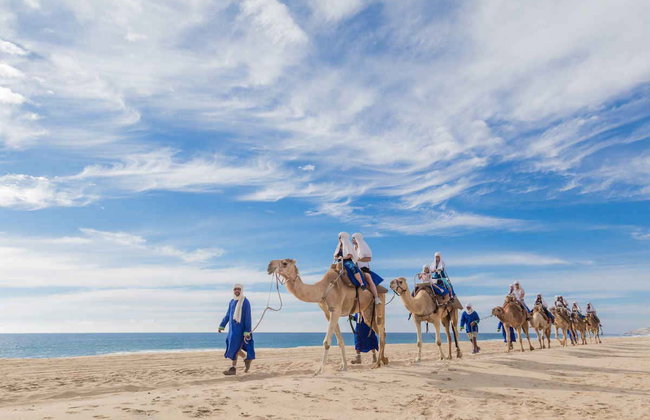 Paseo en camello por el desierto de Los Cabos - Foto 2