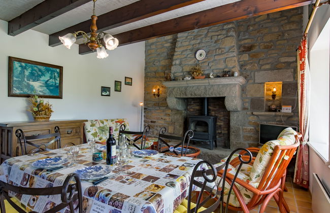 Blaue Hortensie - Foto 2