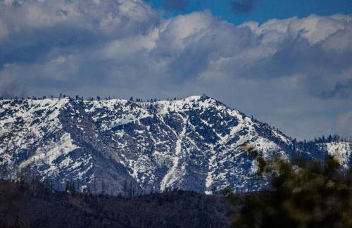 Cozy Cub Cabin, brand new home near Yosemite - Foto 33