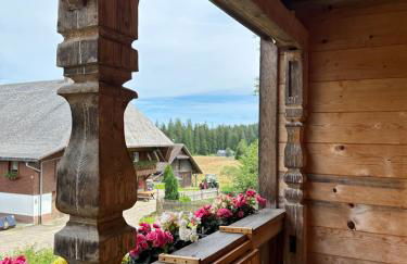 Große gemütliche Ferienwohnung in Schwarzwaldhof - Foto 11