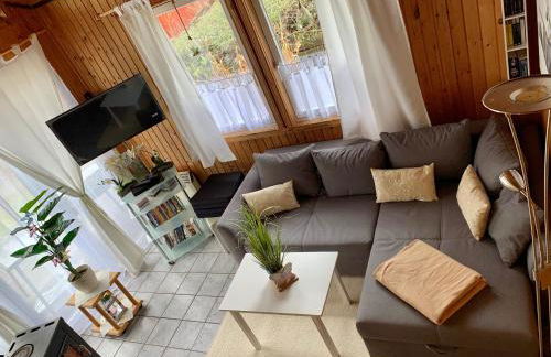 Komfort-Ferienhaus - Extertal-Ferienpark für 1-5 Personen Sauna Natur - Foto 8