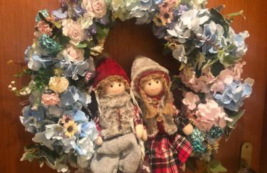 Hortênsiailedefrance - Foto 7