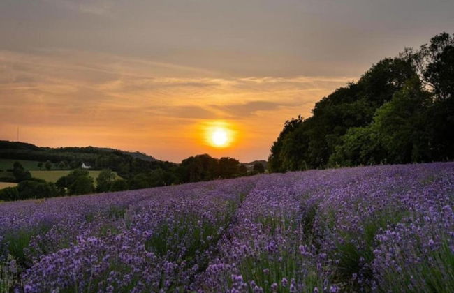 Holiday Home in Germany With Garden Terrace - Foto 31