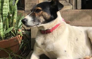 Casa Crudo, PRIVACIDADE NA MATA ATLÂNTICA, piscina, trilhas e descanso - Foto 17