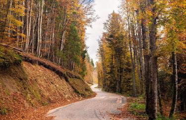 Magnifique maison dans un écrin de verdure - Idéal séjour en famille ou amis - Photo 11