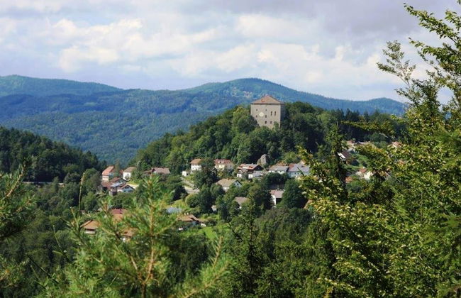 Chalet in Saldenburg Near Hiking Trails - Photo 24