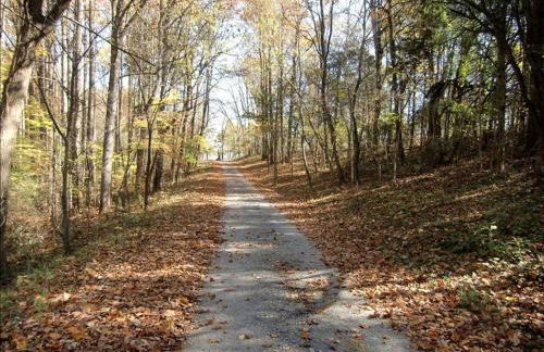 Inviting Cottage Rental on a Private Farm in Rileyville, Virginia - Photo 16