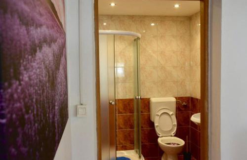 Holiday Home Babič - Foto 14