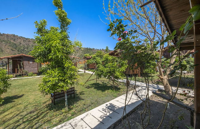 La Maison Hotel Çıralı - Foto 61