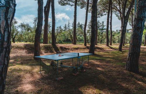 Fattoria Laviosa - Foto 40