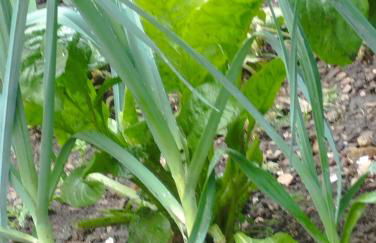 Maison Chez Marinette - Photo 45