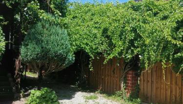 Apartament Forest - Foto 3