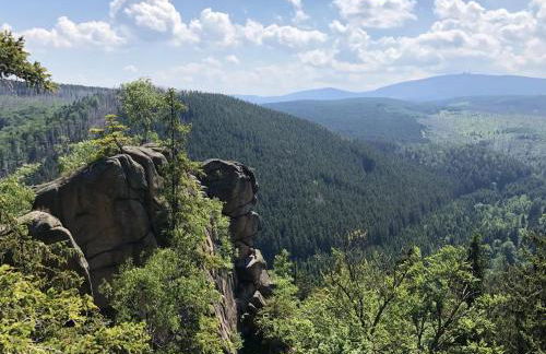 HIRSCH Hänsel Ferienhaus Garten mit Bergblick - Grill -Wald - Foto 41