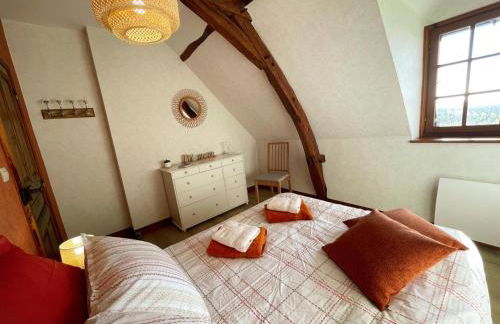 Gîte viticole tout inclus, jardin 3000m², vélos offerts, proche Saumur-Chinon-Langeais - FR-1-381-606 - Foto 21