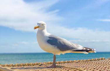 Lüttn Penthuus - Foto 7